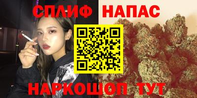 винт Славянск-на-Кубани