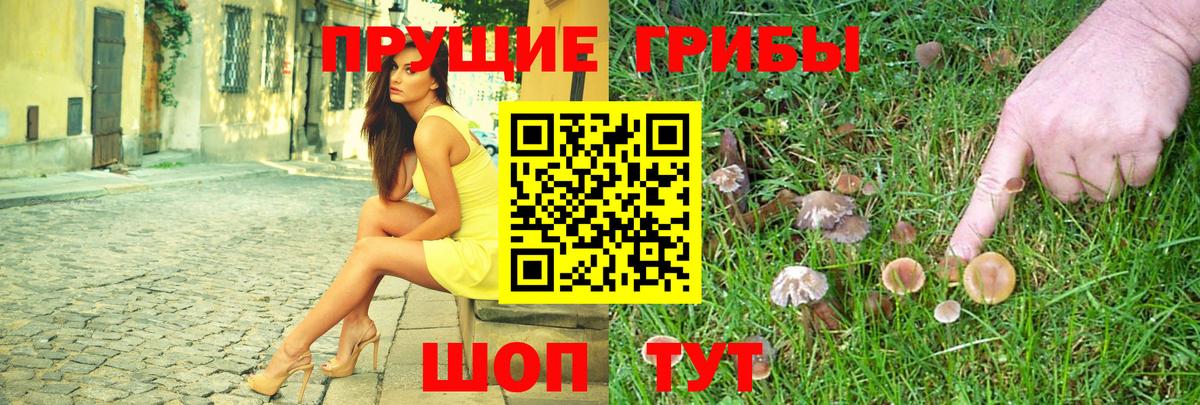 где продают   Псилоцибиновые грибы Psilocybe  Галлюциногенные грибы прущие грибы  Вход с VPN  Прокопьевск 