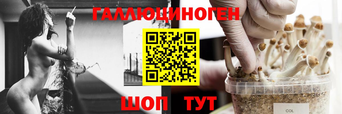 Псилоцибиновые грибы прущие грибы Прокопьевск